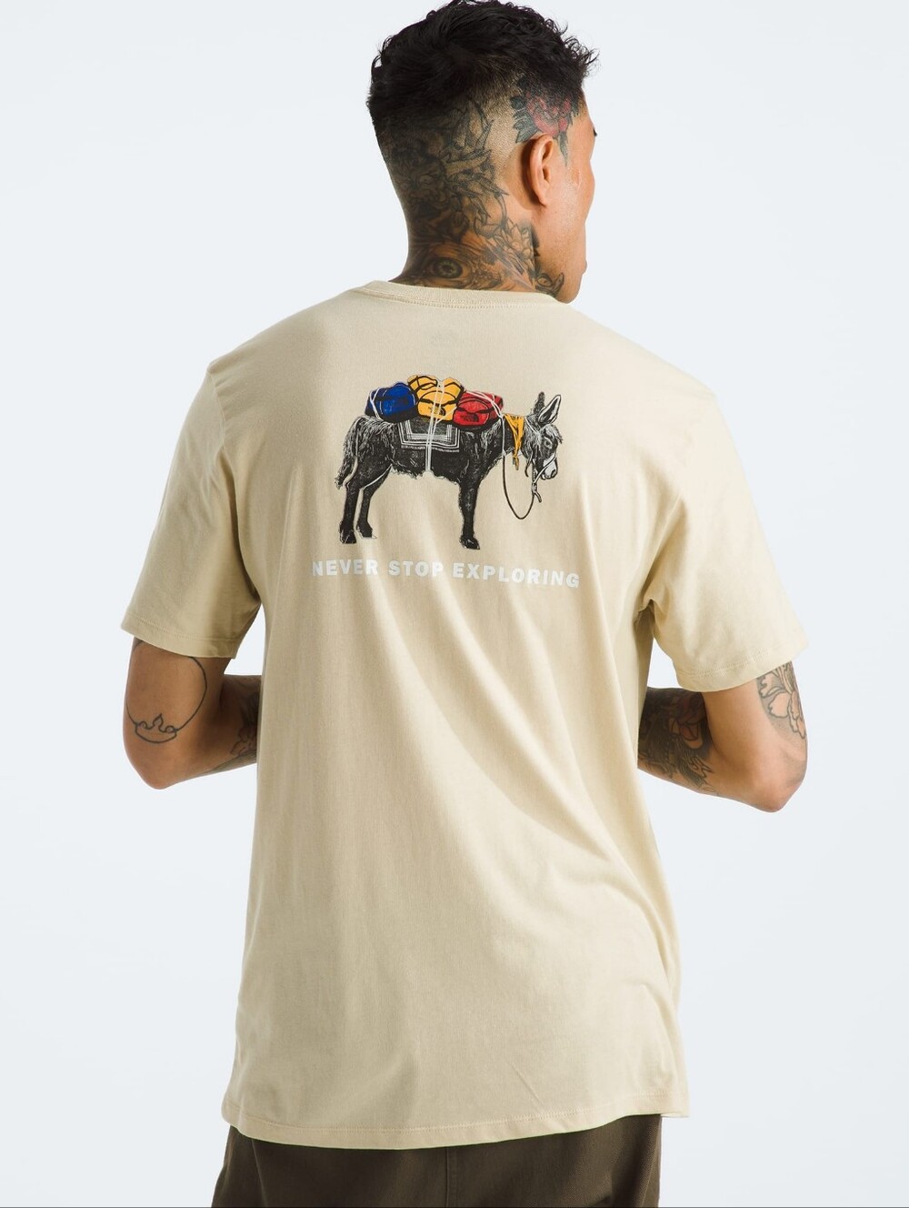 Never Stop Exploring North Face Graphic Tee - Beige Men's Medium Discontinued